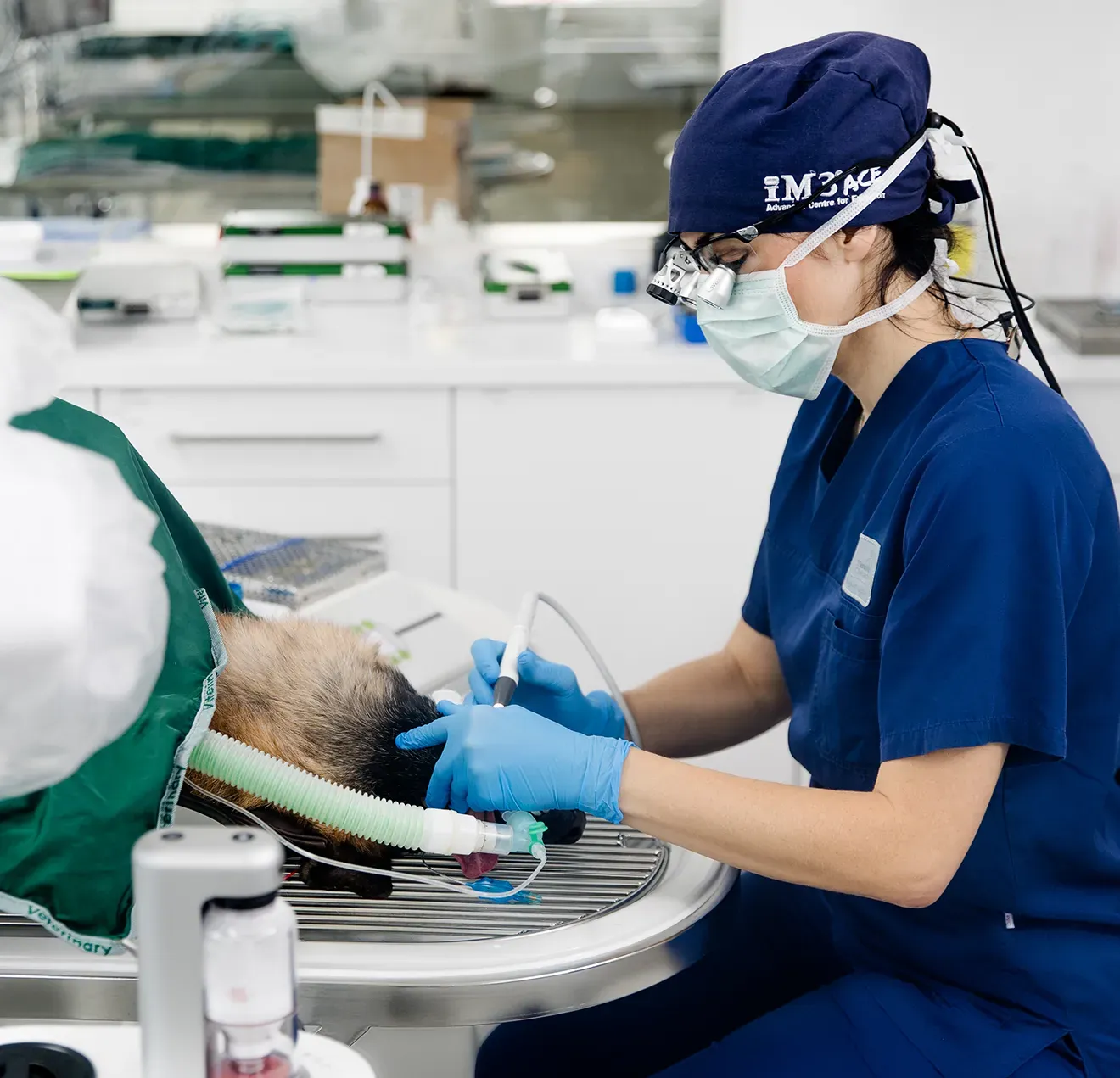 tierklinik-oberhaching-zahnklinik