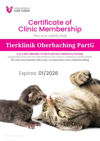 tierklinik-oberhaching-cat-friendly