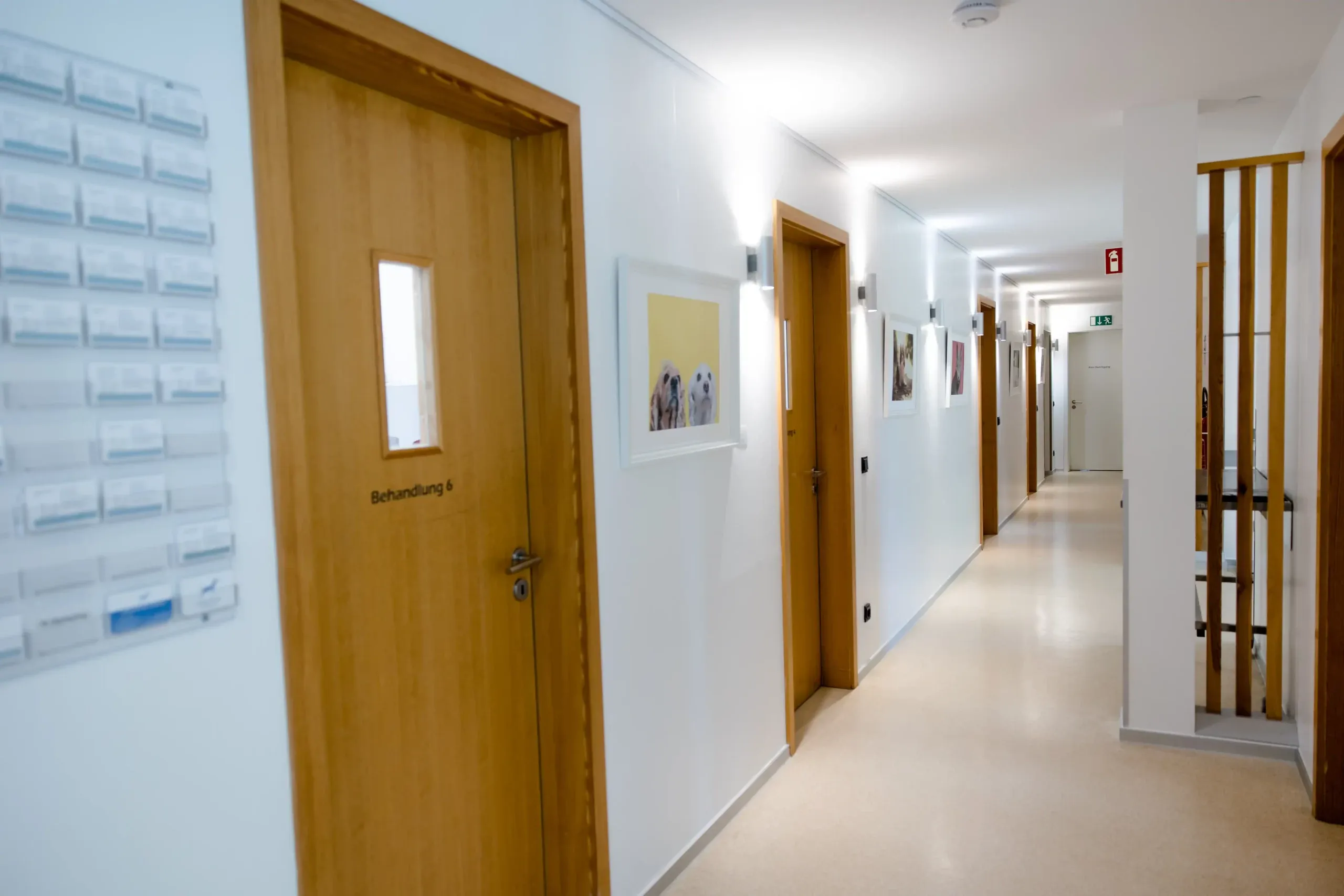 tierklinik-oberhaching-impressionen-gang-behandlungszimmer