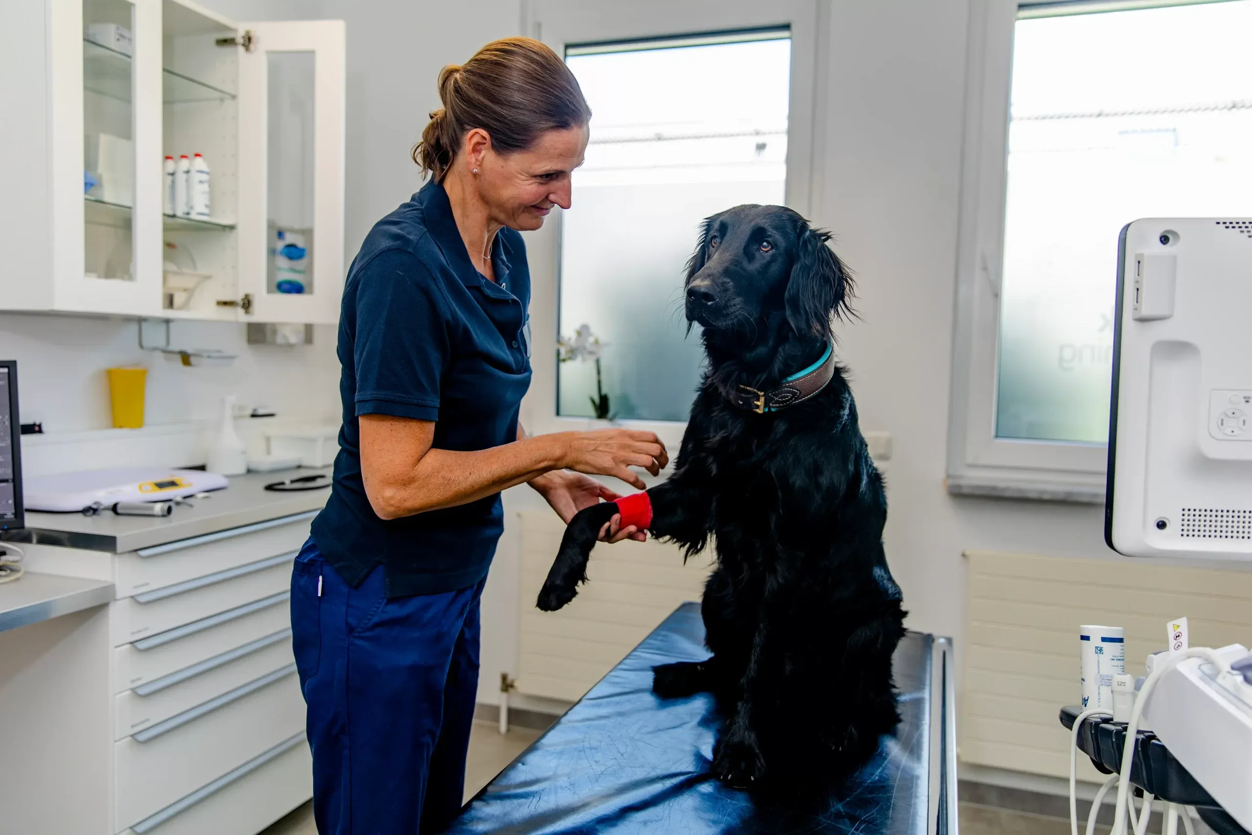 tierklinik-oberhaching-impressionen-behandlung