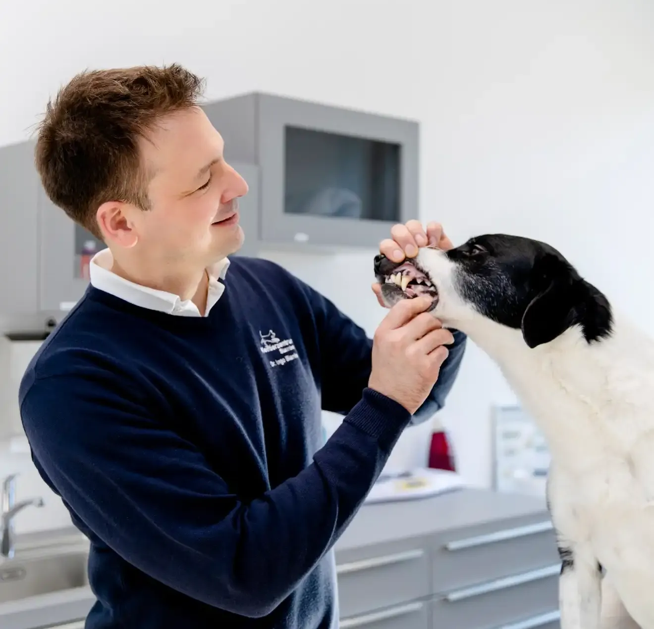 tierklinik-oberhaching-leistungen