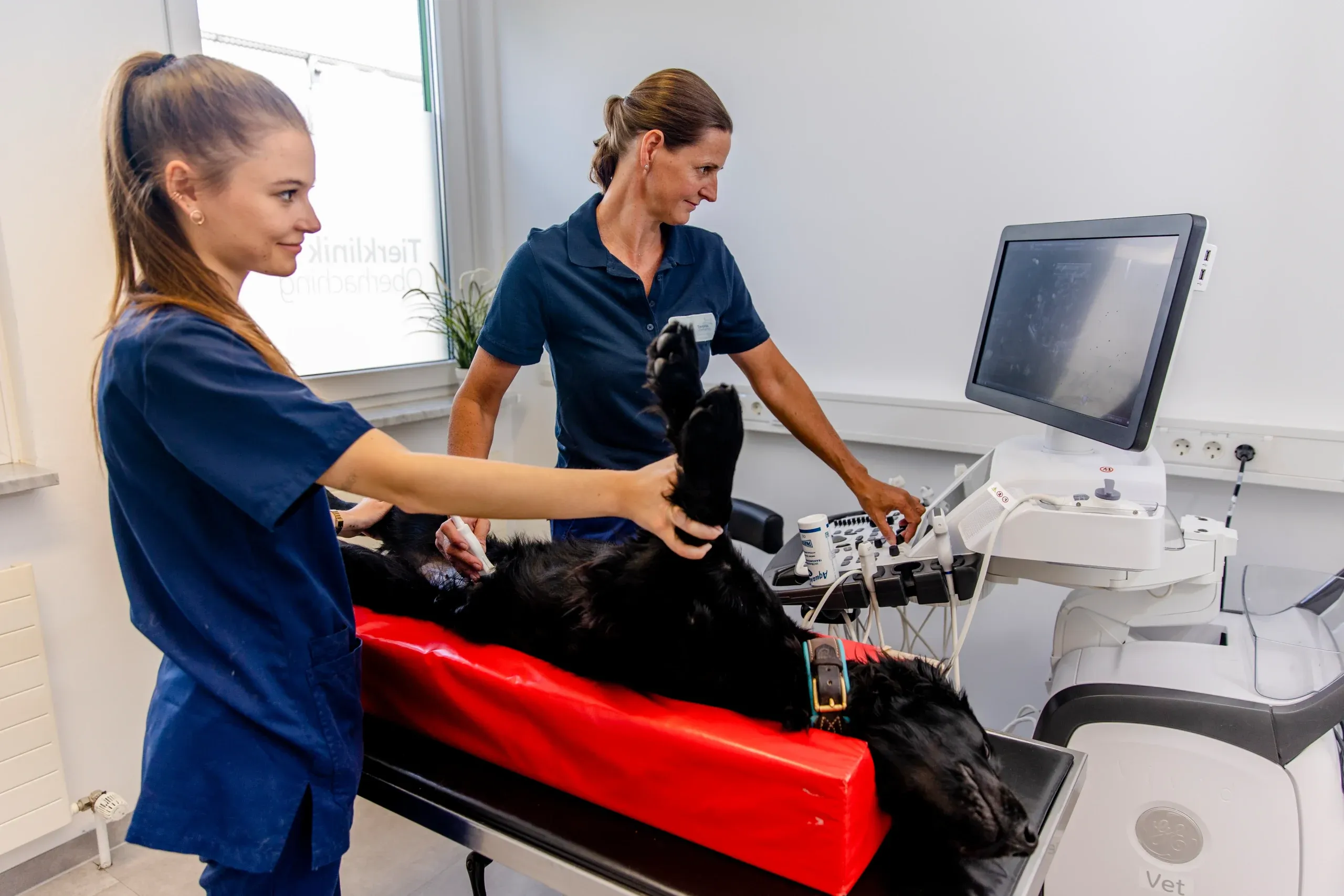 tierklinik-oberhaching-ultraschall-tieraerzte