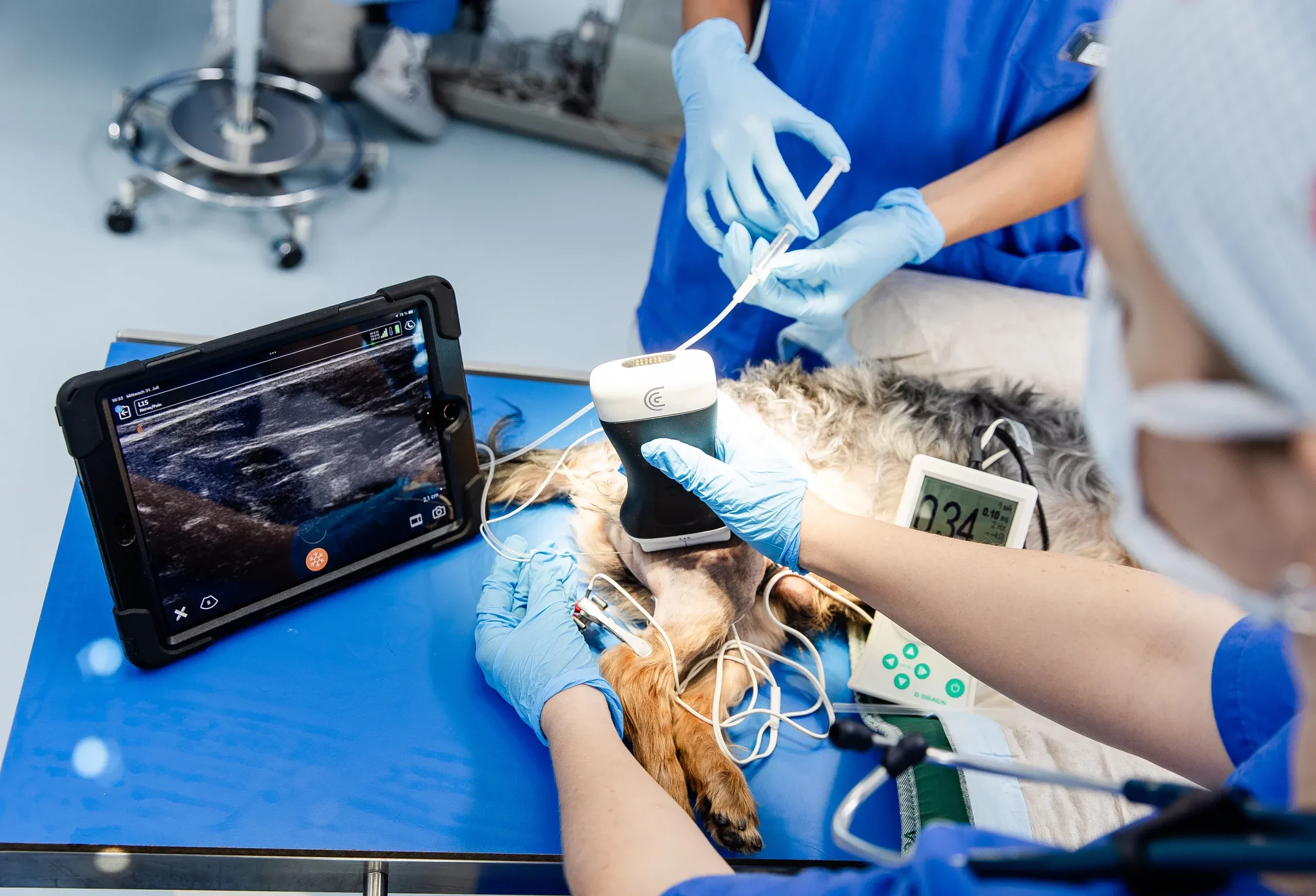 tierklinik-oberhaching-ultraschallgeschütze Lokalanästhesie