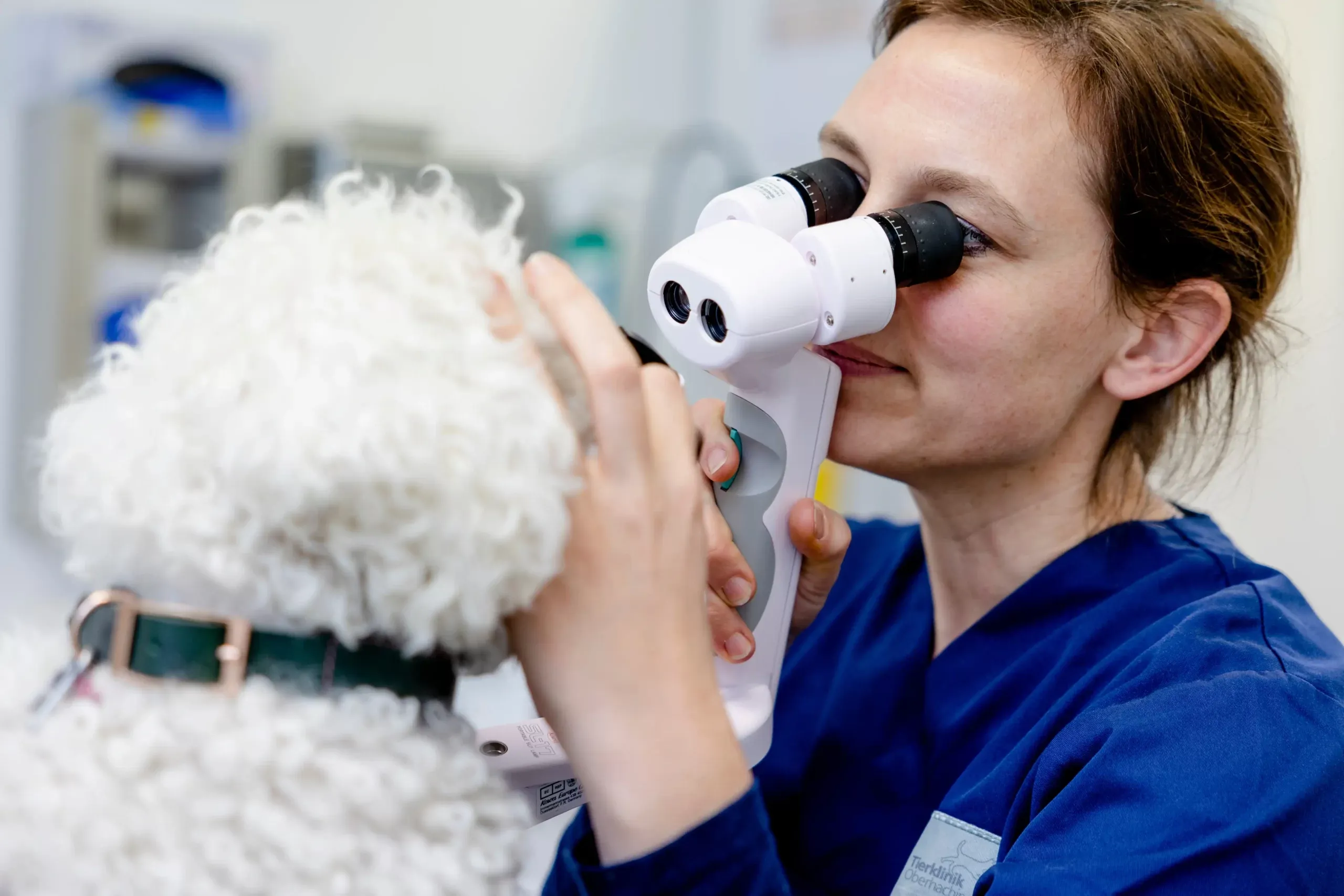 tierklinik-oberhaching-untersuchung-augenklinik