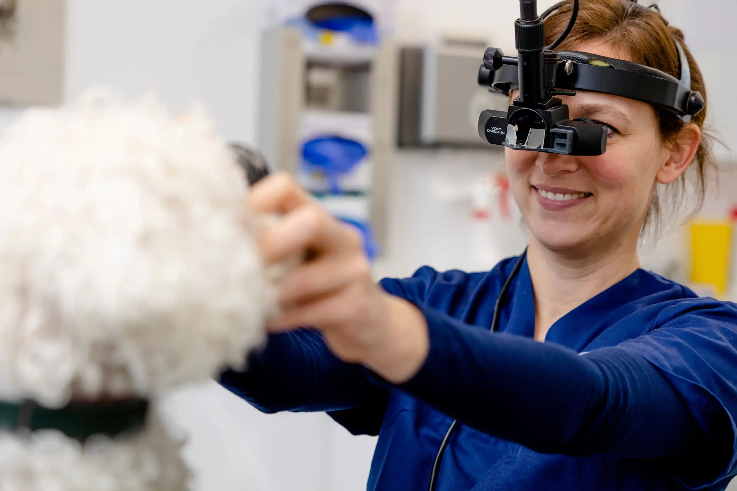 tierklinik-oberhaching-augenerkrankungen-indirekte-ophthalmoskopie