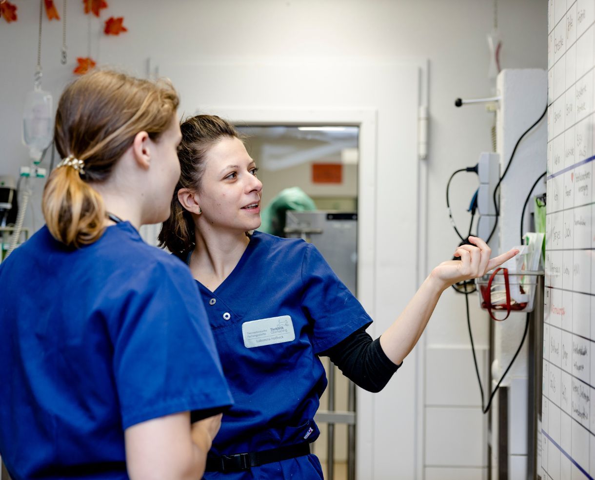 tierklinik-oberhaching-weitere-fachgebiete