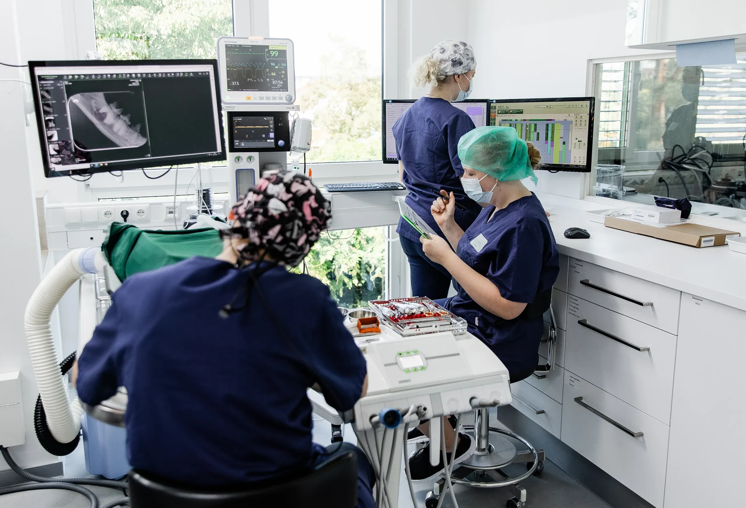 tierklinik-oberhaching-zahnklinik-zahnbehandlung